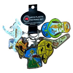 6 Bunch Acrylic Keyring