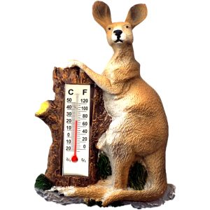 Resin Magnet w/thermometer