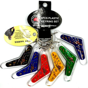 6 Bunch Acrylic Keyring(Design be Authorised)