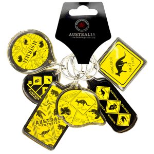 6 Bunch Acrylic Keyring