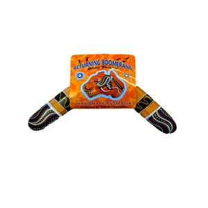 "14"" Ply painted boomerang"