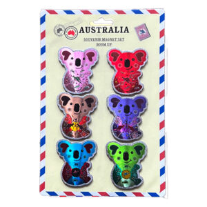 6 PCS PVC Magnet Set (Design be Authorised)