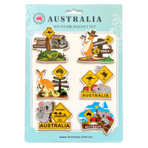 6pcs Magnets