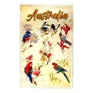 PVC Magnet Bird (Package without card-12pcs/Pack)