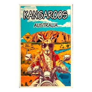PVC Magnet Motorbike Kangaroo (Package without card-12pcs/Pack)