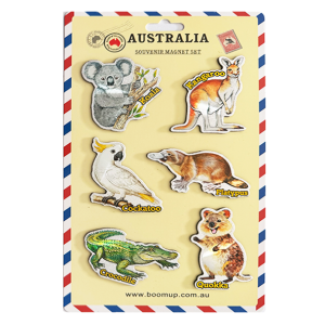 6 PCS PVC Magnet Set Animal