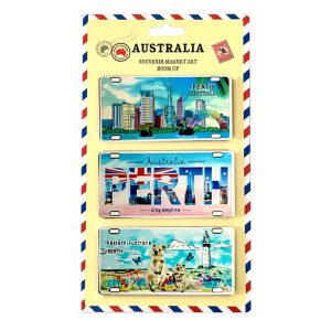 Number Plate Magnet Perth 2