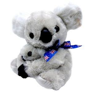 23cm Koala Front Hug