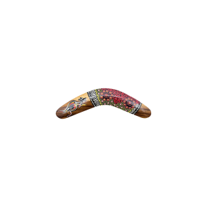 6''Boomerang